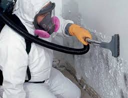 Asbestos and Lead Testing During Mold Inspection in Acalanes Ridge, CA